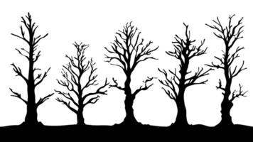 silhouette of a tree. silhouette of dead tree vector illustration. silhouette of trees and branches without leaves. Bare Tree silhouette. Black Branch Tree vector.