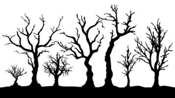 Black Branch Tree vector. silhouette of a bare tree. silhouette of dead tree vector illustration. silhouette of trees and branches without leaves. Bare Tree silhouette.