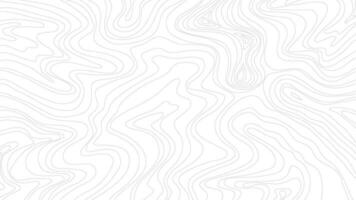 topographic contour background. abstract wavy background. contour background. modern Topographic map wallpaper. topographic background. vector
