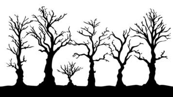 silhouette of dead tree vector illustration. silhouette of trees and branches without leaves. Bare Tree silhouette. Black Branch Tree vector. silhouette of a bare tree.