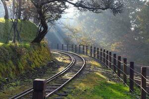 Serene Path Through Vibrant Autumn Forest with Railway Track photo