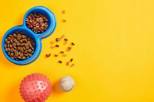 Dry pet food in bowl with a ball on yellow background top view photo