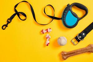 Black leather dog collar, bone, ball and blue leash attached on yellow background. Top view photo