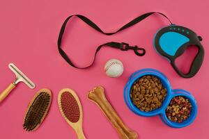 Accessories for the grooming of the dog. Combs and brushes for dogs. Top view photo
