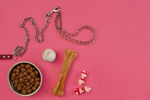 perro comida en metálico cuenco y accesorios en rosado antecedentes foto