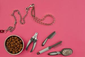 Dog accessories on pink background. Top view. Pets and animals concept photo
