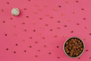 Dog food in metallic bowl and accessories on pink background photo