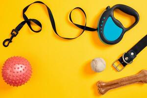 Black leather dog collar, bone, ball and blue leash attached on yellow background. Top view photo