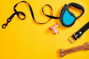 Black leather dog collar, bone and blue leash attached on yellow background. Top view photo