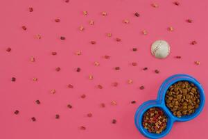 Dry pet food in bowl with a ball on pink background top view photo