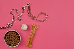 Dog food in metallic bowl and accessories on pink background photo