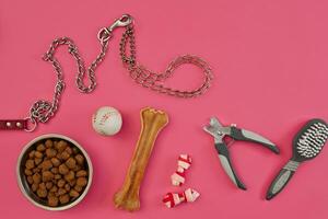 Dog accessories on pink background. Top view. Pets and animals concept photo