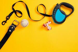 Black leather dog collar, bone, ball and blue leash attached on yellow background. Top view photo