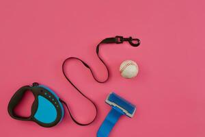 Dog leash and toys on pink background photo