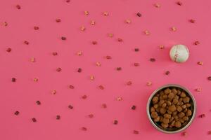 Dog food in metallic bowl and accessories on pink background photo