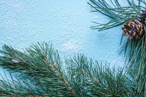 Christmas decoration. Branch christmas tree and cones spruce on snow. Top view, flat lay photo