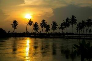 Tranquil tropical beach with palm trees and blue sea. photo