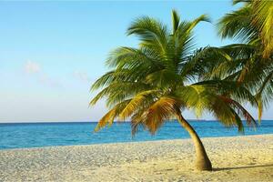 tranquilo tropical playa con palma arboles y azul mar. foto