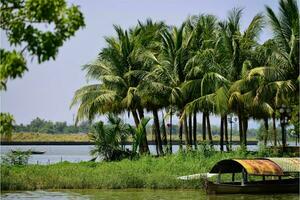 Tranquil tropical beach with palm trees and blue sea. photo