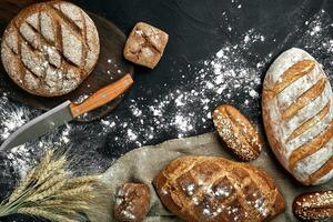 Homemade rye bread sprinkled with flour and various grains and seeds on a black background with spikelets of wheat or rye and oats. photo