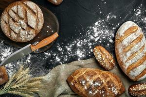 Homemade rye bread sprinkled with flour and various grains and seeds on a black background with spikelets of wheat or rye and oats. photo