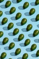 Colorful fruit pattern of fresh whole avocado arranged on blue pastel background photo