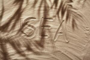 Summer concept with a shadow of a tropical palm tree leaves, copyspace on a white beach sand. photo