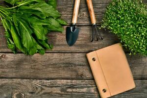 Gardening tools and greenery on wooden table. Spring in the garden photo