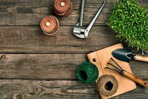 Gardening tools and greenery on wooden table. Spring in the garden photo