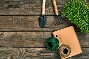 jardinería herramientas y verdor en de madera mesa. primavera en el jardín foto