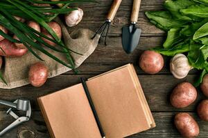 Gardening tools and fresh vegetables over wooden background photo