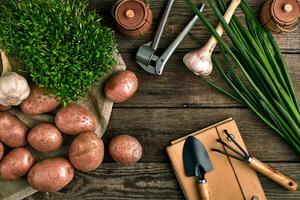 Gardening tools and fresh vegetables over wooden background photo