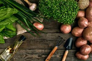 Fresh potatoes, oil, garlic and spicy herbs on a kitchen wooden background. Fresh vegetables from your own garden. photo