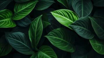 Seamless pattern with green monstera leaves on dark background. Generative AI photo