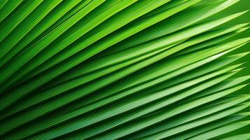 Green palm leaf close-up. Natural background for your design. Generative AI photo