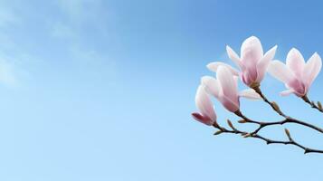 Magnolia flower on blue sky background with copy space for your text Generative AI photo
