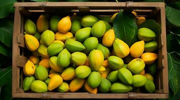 recién escogido mamoncillo Fruta desde jardín metido en el cajas generativo ai foto