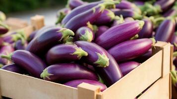 recién escogido berenjena Fruta desde jardín metido en el cajas generativo ai foto