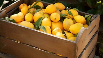 recién escogido huevo Fruta desde jardín metido en el cajas generativo ai foto