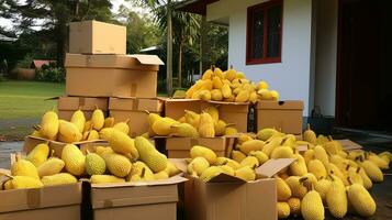 Freshly picked Jackfruit from garden placed in the boxes. Generative AI photo