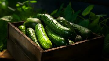 recién escogido Pepino Fruta desde jardín metido en el cajas generativo ai foto