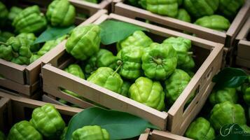 recién escogido chirimoya Fruta desde jardín metido en el cajas generativo ai foto