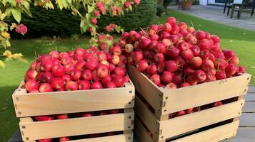 recién escogido cangrejo manzanas Fruta desde jardín metido en el cajas generativo ai foto