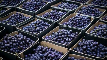 recién escogido acai baya Fruta desde jardín metido en el cajas generativo ai foto