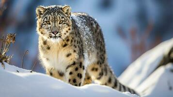 fauna silvestre en el glacial desierto. generativo ai foto