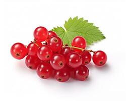 Photo of Red currant isolated on white background. Generative AI