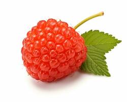 Photo of Salmonberry isolated on white background. Generative AI