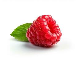 Photo of Red raspberry isolated on white background. Generative AI