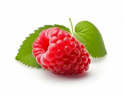 Photo of Red raspberry isolated on white background. Generative AI