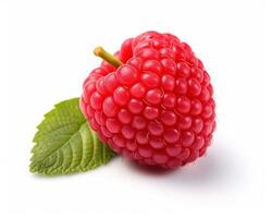 Photo of Salalberry isolated on white background. Generative AI